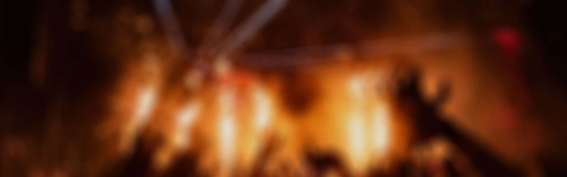 跟千金宝库团队做赚钱的项目