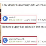 千金宝库分享：国外网赚项目，无脑搬砖发视频，一个视频10美金